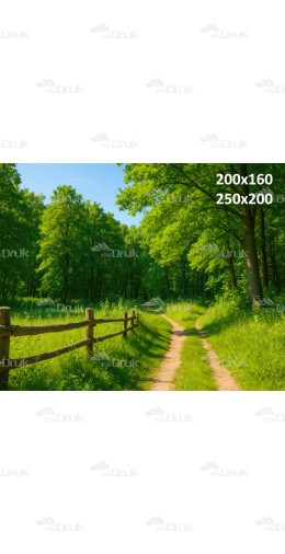 Tło fotograficzne Las 3612